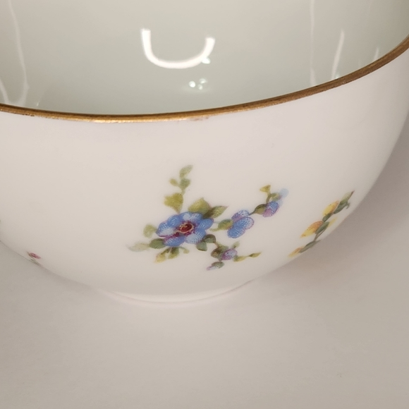 Early 20th Century Epiag Czechoslovakia Fine China Floral/Gold Trim Teacup - Picture 6 of 12